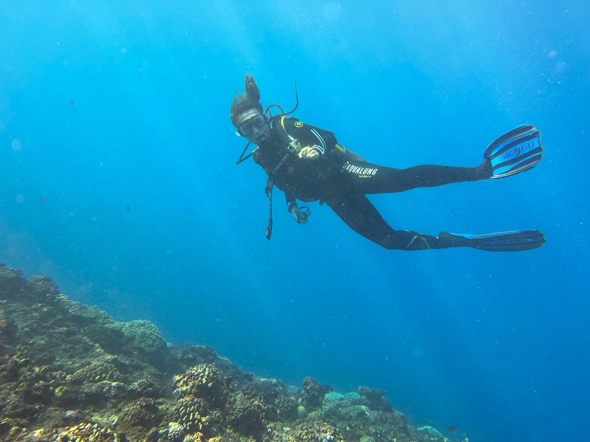 First dives and cetacean trips - Port de Saint-Gilles