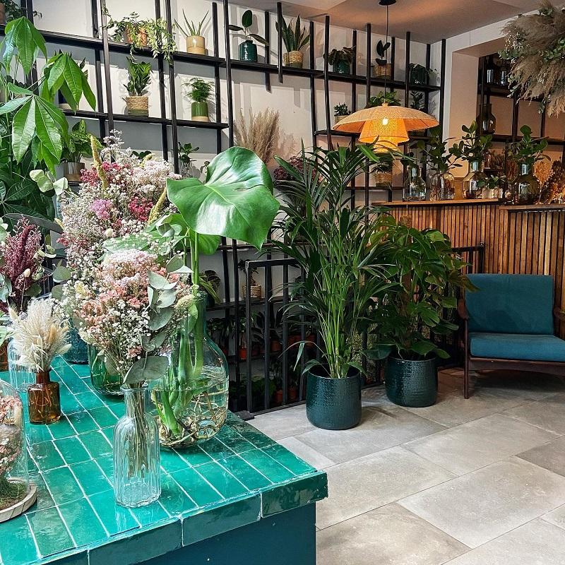 Floral workshop: Introduction to indoor plants