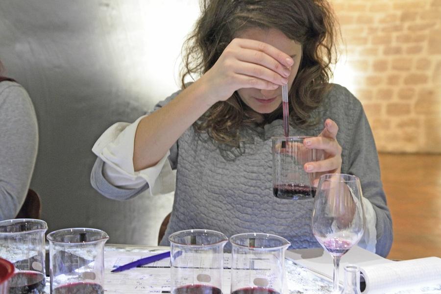 Wine creation and cellar discovery workshop