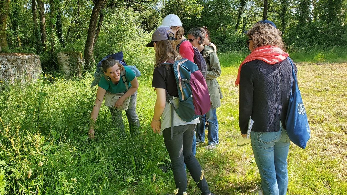 Botanical walk - Discovering the flora of Nantes