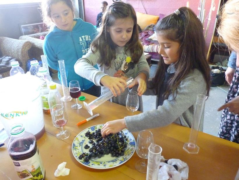 Wine workshop for children: Awakening the senses