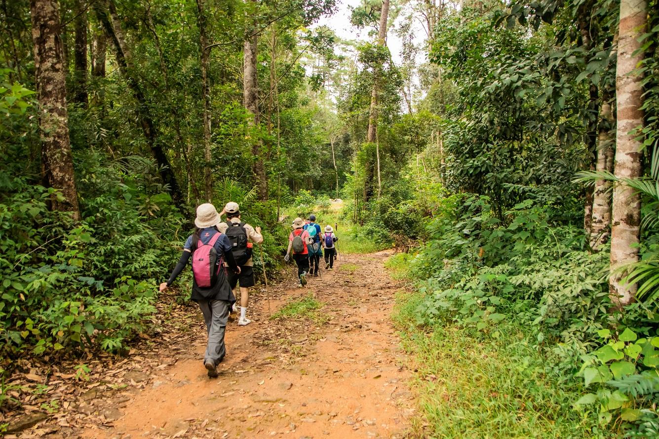 Sustainable Forest Bath Challenge - Event coaching