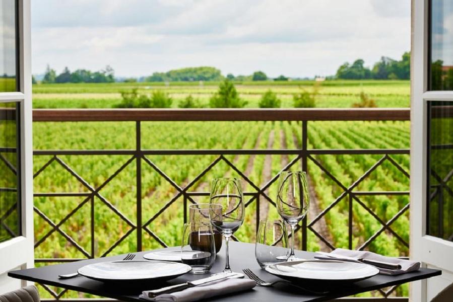 Your event in a Bordeaux vineyard