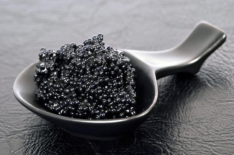 Caviar : cuisine mobile pour dégustation culinaire d'exception