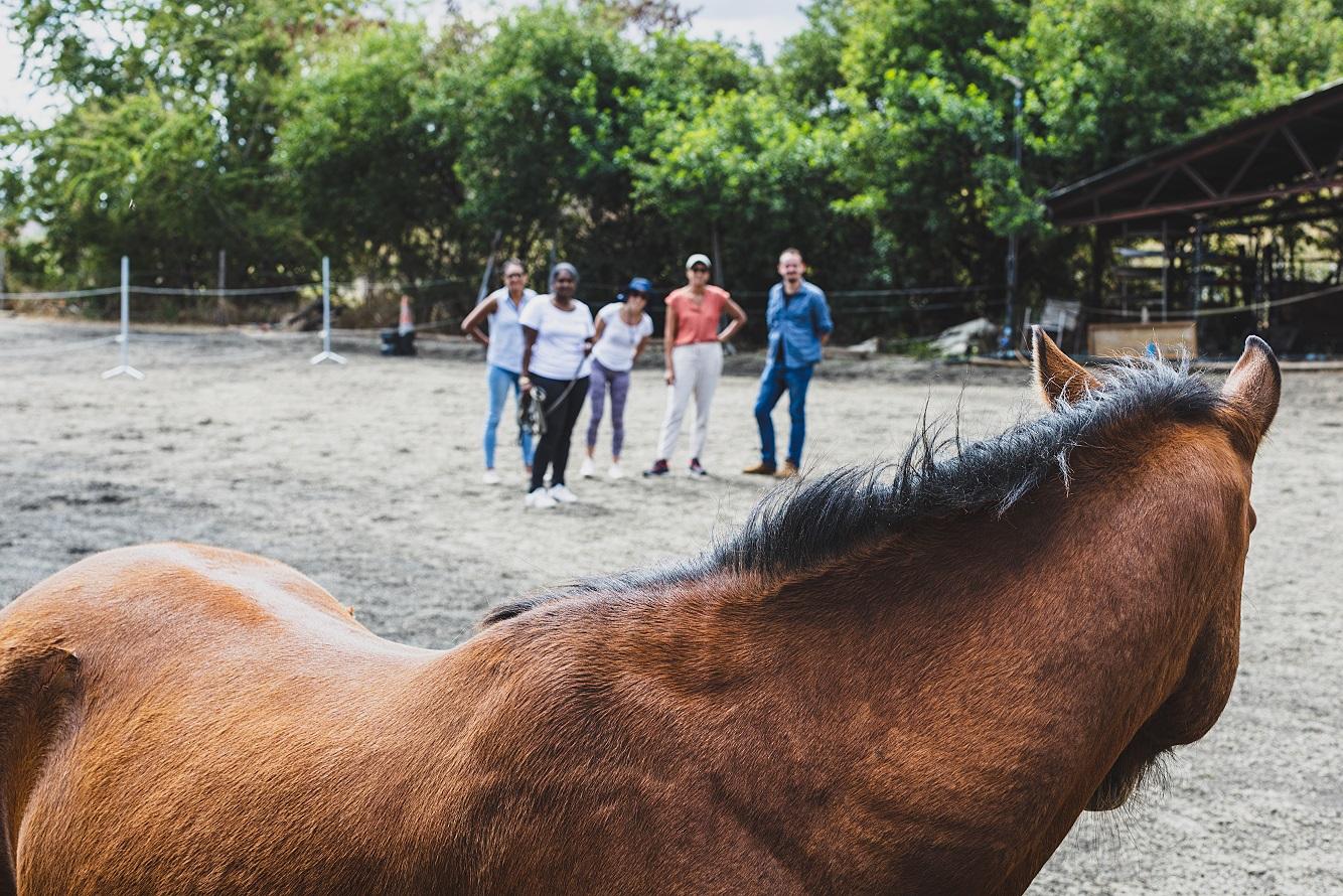 Equi-coaching - Management training using horses