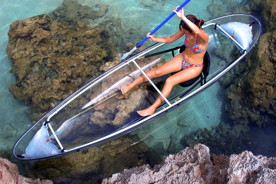 Guided tour in transparent kayak