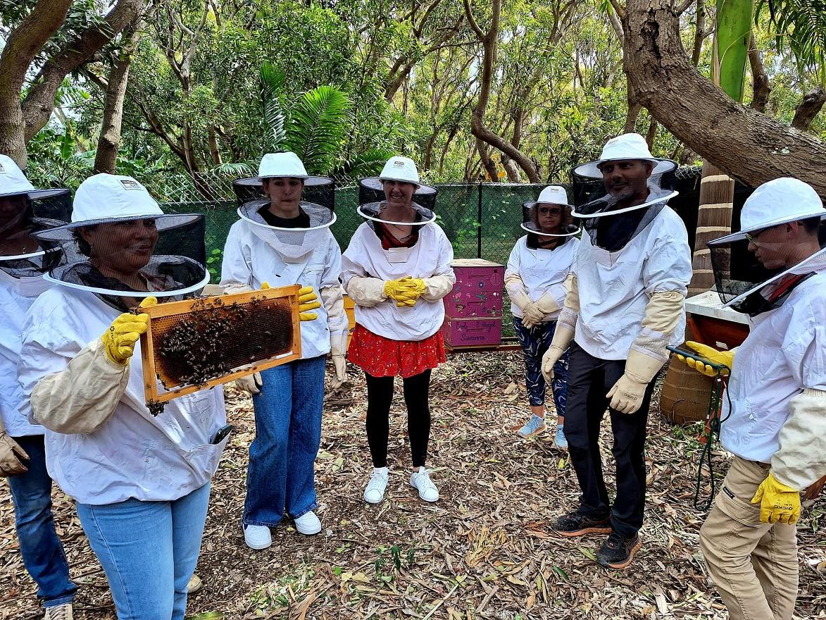 Visite du rucher - Atelier d'apiculture à Saint-Paul