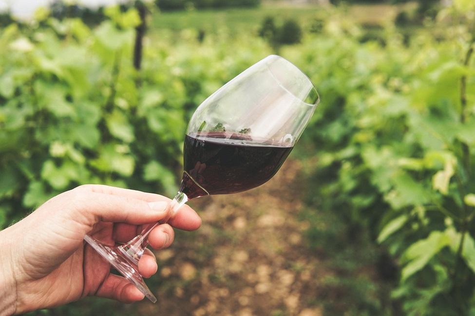 Top Vigneron - Créez votre vin puis vendez-le