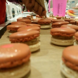 Atelier Macarons chocolat /Cupcakes sans gluten (Enfants ou Adultes) - thumbnail