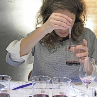 Atelier Création de Vin et découverte des caves