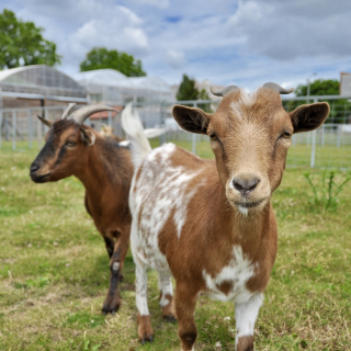 Your CSR seminar at the Ferme de Gally - Saint-Denis - thumbnail