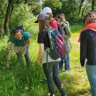 Botanical walk - Discovering the flora of Nantes - thumbnail