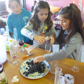 Wine workshop for children: Awakening the senses