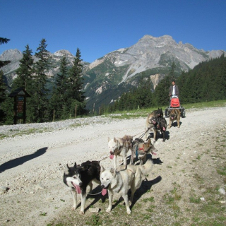 Cani-rando : Kart pulled by sled dogs (Méribel-Champagny) - thumbnail
