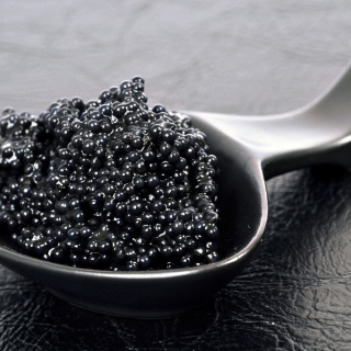 Caviar: mobile kitchen for exceptional culinary tasting