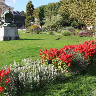 Investigation at the Jardin des Plantes - In the footsteps of Landru - thumbnail