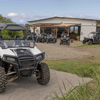 Quad Biking and Buggy Tours in the Highlands - thumbnail