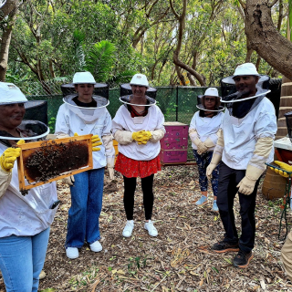 Visite du rucher - Atelier d'apiculture à Saint-Paul - thumbnail