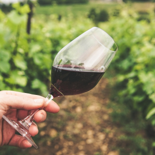 Top Vigneron - Créez votre vin puis vendez-le - thumbnail