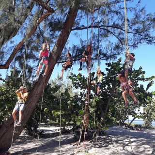 Tree climbing for children