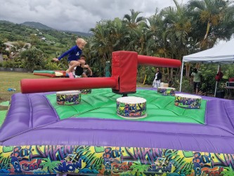 Arbre de Noel EFS Santé - Ferme Equestrewhatsapp-image-2025-12-30-at-07-12-12-69537115d99b4962519678.jpg