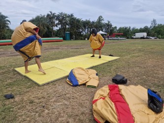 Arbre de Noel EFS Santé - Ferme Equestrewhatsapp-image-2025-12-30-at-07-12-13-69537115daa80183069795.jpg