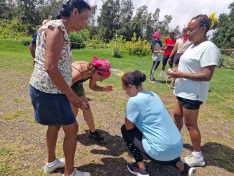 Journée Koh-Lanta au Domaine du Maido - AFL Levavasseurkoh-lanta-2026-afl-levavasseur-whereez-maido-entreprise-journee-team-building-agence-4-695f5dc34449a375582714.jpg