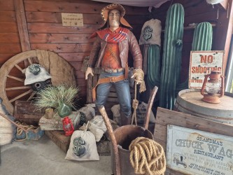 Journée thème Far West au Maido - CYCLEAwhatsapp-image-2025-12-30-at-11-04-54-6953a79eb5582320188119.jpg