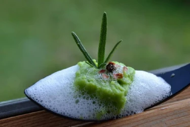 molecular-cuisine-animation-in-nice-and-its-region-3