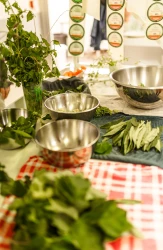 atelier-de-cuisine-sauvage-les-plantes-sauvages-2