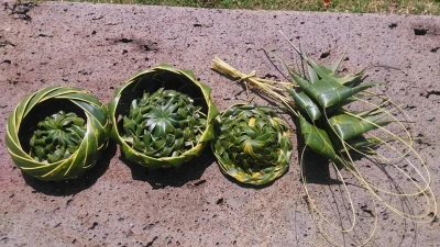 vegetable-braiding-workshop-coconut-palm-etc-5