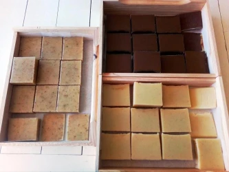 soap-discovery-workshop-at-home-1