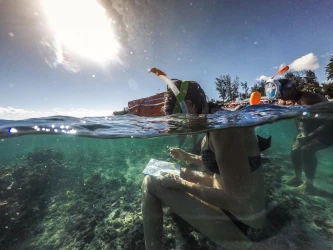 underwater-drawing-workshop-drawing-the-sea-1