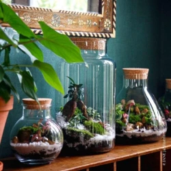 terrarium-workshop-in-nantes-plant-composition-1