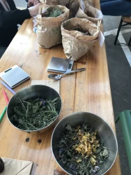 herbal-tea-workshop-in-nantes-responsible-business-workshop-4