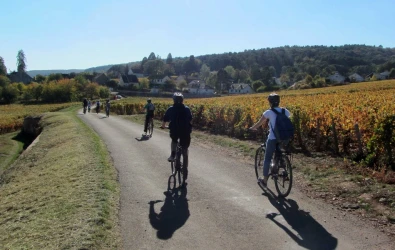 wine-tours-by-bike-along-the-wine-growing-coast-2