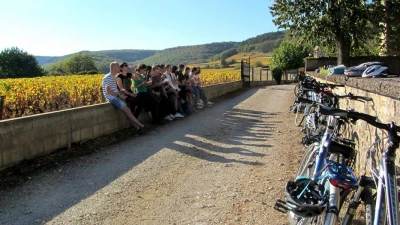 wine-tours-by-bike-along-the-wine-growing-coast-3