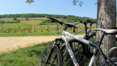 wine-tours-by-bike-along-the-wine-growing-coast-4