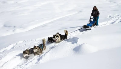 bapteme-de-chiens-de-traineaux-attelage-balade-et-conduite-3