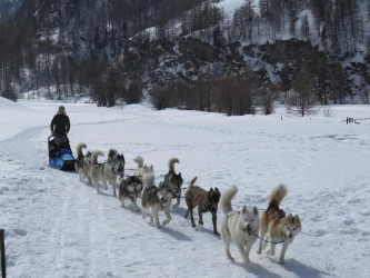 bapteme-de-chiens-de-traineaux-attelage-balade-et-conduite-4