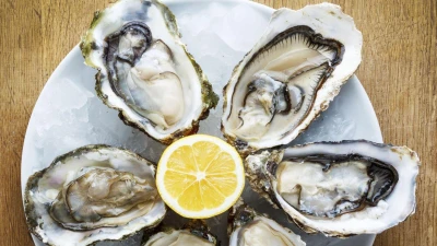 oyster-bar-for-your-company-meal-1