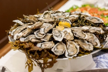 oyster-bar-for-your-company-meal-2