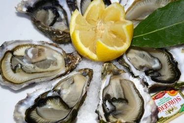 oyster-bar-for-your-company-meal-3