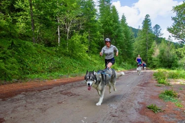 cani-cross-in-the-queyras-race-with-dogs-1