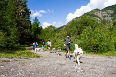 cani-cross-in-the-queyras-race-with-dogs-2