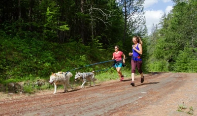 cani-cross-in-the-queyras-race-with-dogs-3