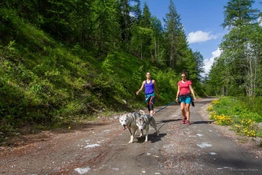 cani-hiking-in-the-queyras-1