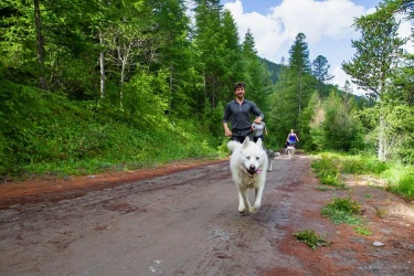 cani-hiking-in-the-queyras-3