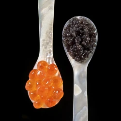 caviar-mobile-kitchen-for-exceptional-culinary-tasting-3