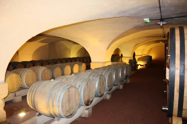 chateau-de-pizay-beaujolais-event-winegrowing-estate-8